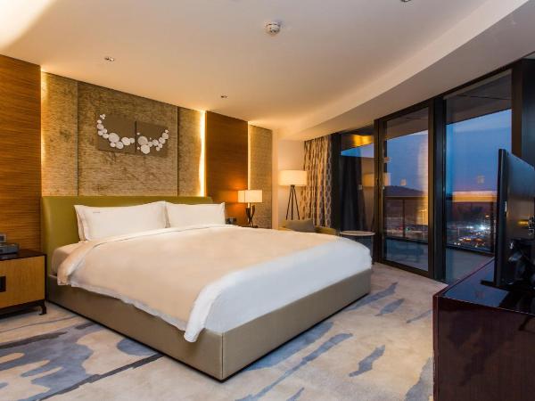 Holiday Inn Nanjing Xuanwu Lake, an IHG Hotel : photo 5 de la chambre suite 1 chambre - vue sur ville
