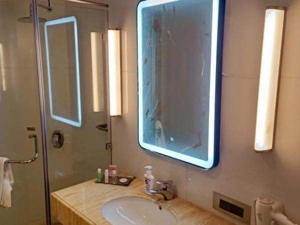 Mirage Hotel, Mumbai International Airport : photo 6 de la chambre executive club room - 20% discount on restaurant food al-a-carte order 