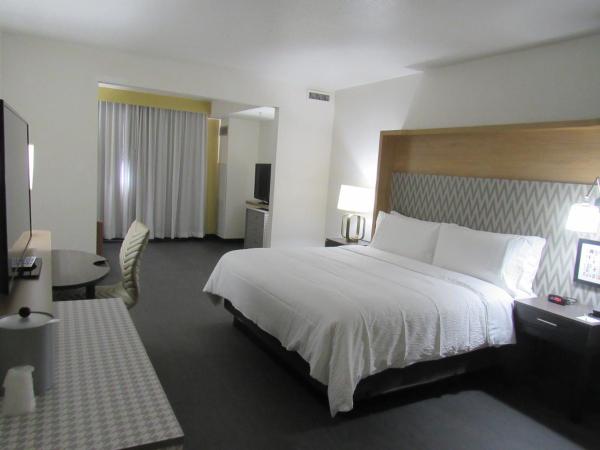 Holiday Inn Orlando International Drive - ICON Park : photo 3 de la chambre suite lit king-size – non-fumeurs