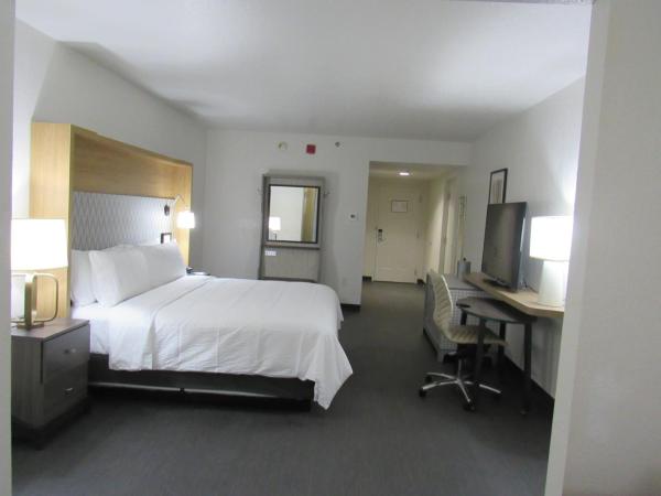 Holiday Inn Orlando International Drive - ICON Park : photo 3 de la chambre chambre lit king-size loisirs - non-fumeurs