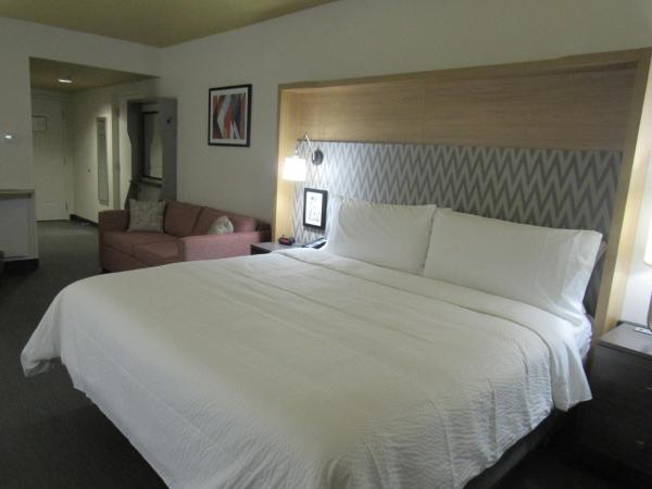 Holiday Inn Orlando International Drive - ICON Park : photo 4 de la chambre chambre lit king-size très spacieuse - non-fumeurs