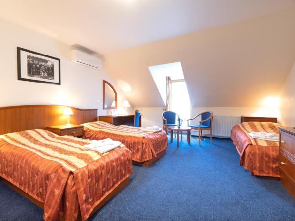 Hotel Belcredi : photo 2 de la chambre chambre triple standard avec lit d'appoint