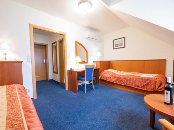 Hotel Belcredi : photo 7 de la chambre chambre lits jumeaux