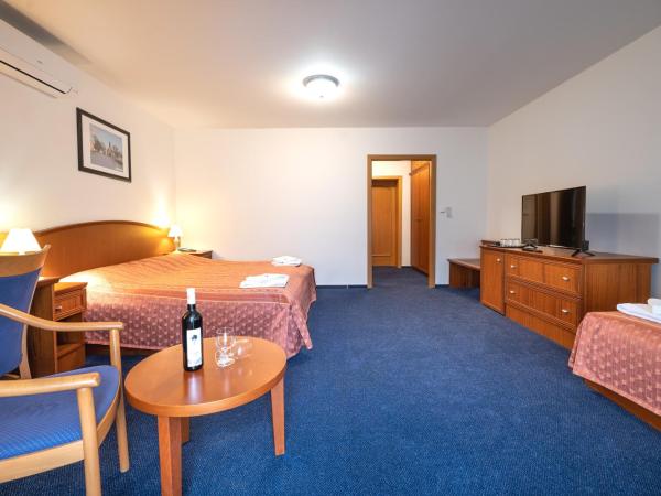 Hotel Belcredi : photo 7 de la chambre chambre triple deluxe