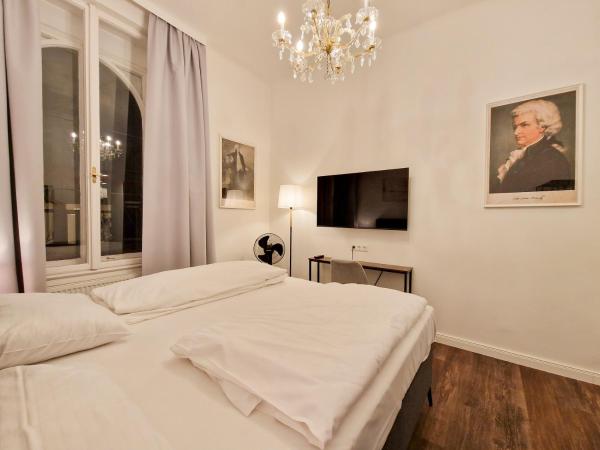 Pension Mozart - Newly Renovated : photo 1 de la chambre studio avec cuisine - vue sur rue