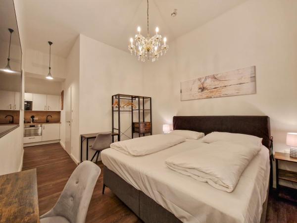 Pension Mozart - Newly Renovated : photo 2 de la chambre studio avec cuisine - vue sur rue