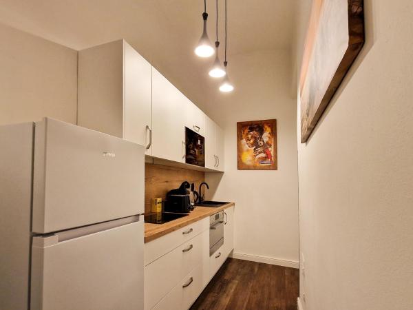 Pension Mozart - Newly Renovated : photo 3 de la chambre studio avec cuisine - vue sur rue