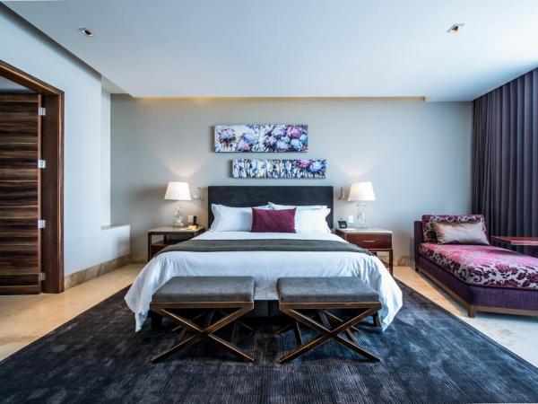 Square Small Luxury Hotel - Providencia : photo 3 de la chambre suite supérieure 