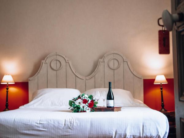 Château le Bouïs : photo 5 de la chambre chambre double ou lits jumeaux de luxe - vue sur parc