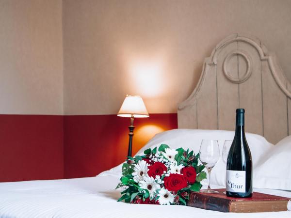 Château le Bouïs : photo 6 de la chambre chambre double ou lits jumeaux de luxe - vue sur parc