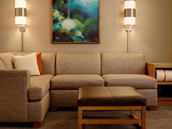 Sonesta Select Austin North Central : photo 5 de la chambre chambre double avec 2 lits doubles