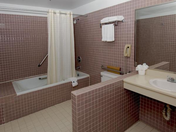 Metro Plaza Hotel : photo 6 de la chambre chambre lit king-size standard