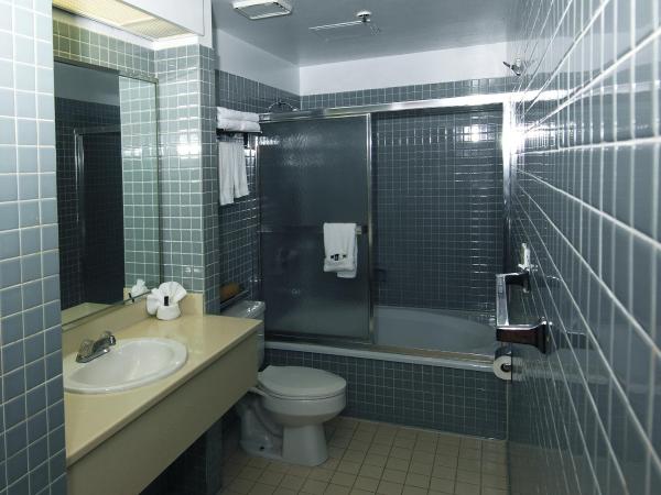 Metro Plaza Hotel : photo 5 de la chambre chambre lit king-size standard