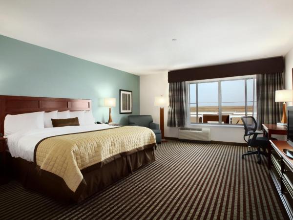 Baymont by Wyndham Denver International Airport : photo 6 de la chambre chambre lit king-size deluxe - non-fumeurs