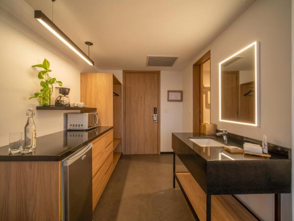 Stadía Suites Querétaro Centro Histórico : photo 2 de la chambre chambre lit king-size deluxe