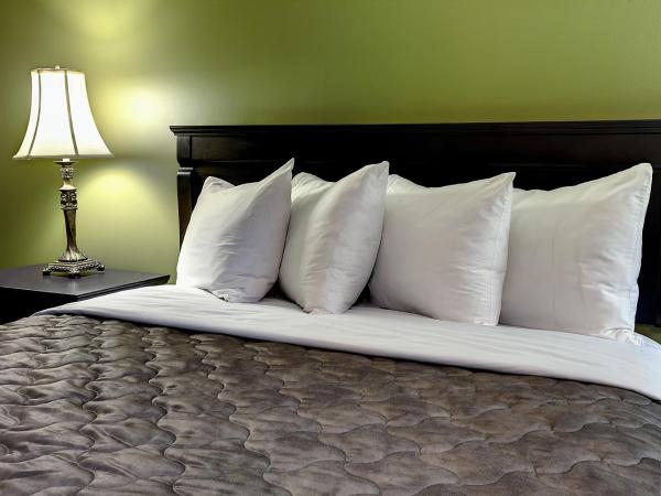 Hotel & Suites Monte-Cristo : photo 1 de la chambre chambre lit queen-size