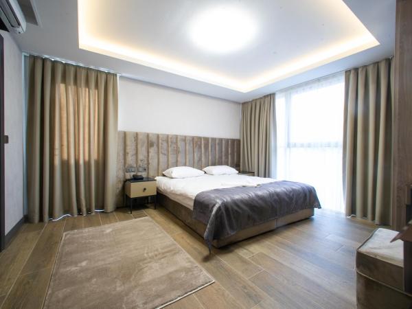 MAD INN HOTEL & SPA : photo 3 de la chambre grande chambre double 