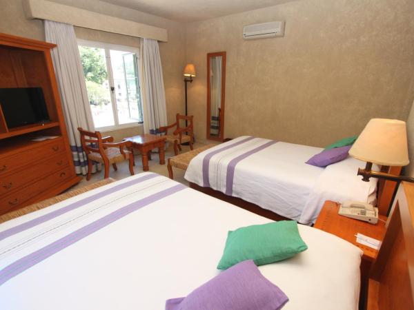 Hotel Marques Del Valle : photo 3 de la chambre suite junior