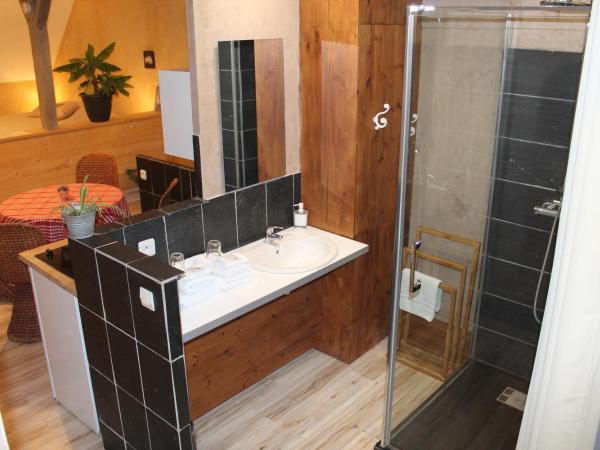 Côté Chambres : photo 7 de la chambre appartement avec terrasse