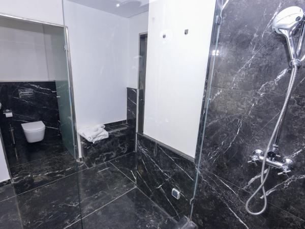 Le 135 appart hotel : photo 6 de la chambre studio