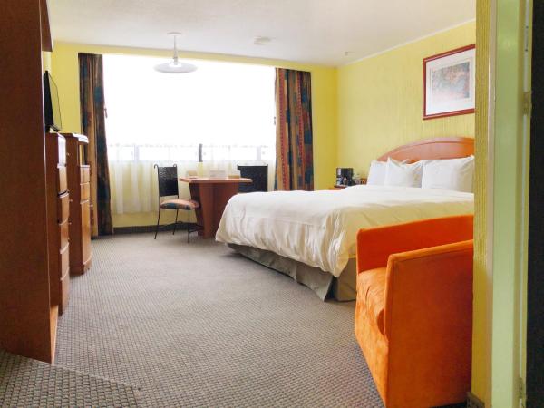 Hotel Real del Sur : photo 4 de la chambre chambre lit king-size deluxe