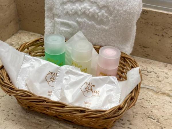 Hotel Real del Sur : photo 5 de la chambre chambre lit king-size deluxe