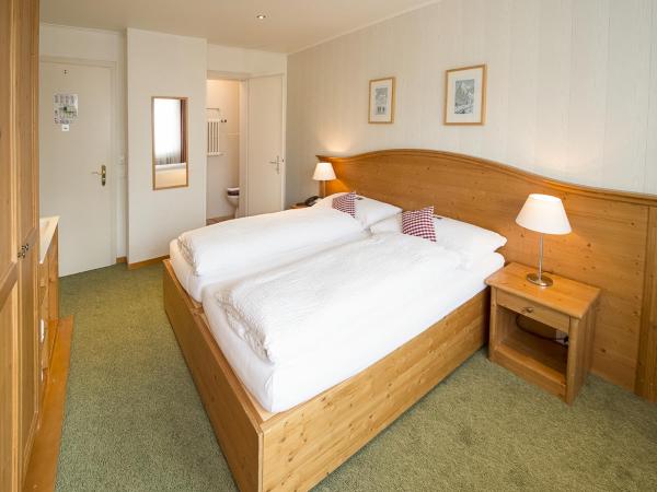 Hotel Bernerhof Grindelwald : photo 2 de la chambre chambre double standard