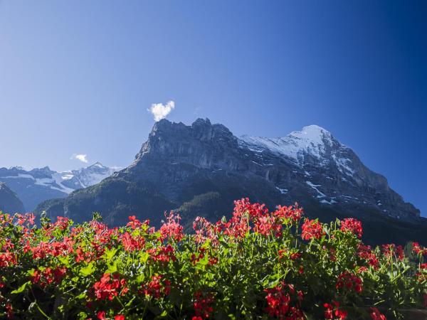 Hotel Bernerhof Grindelwald : photo 9 de la chambre petite chambre double - vue sur eiger