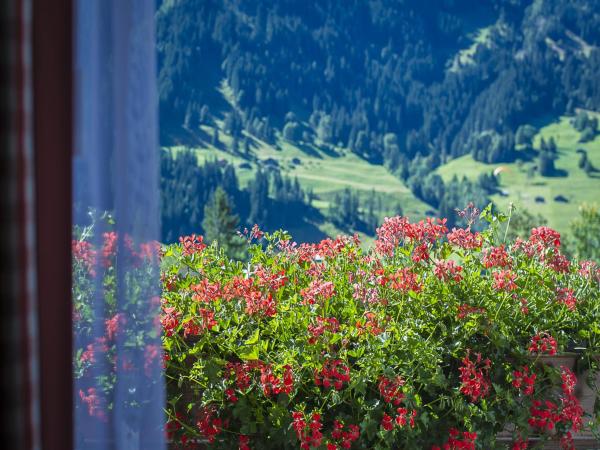 Hotel Bernerhof Grindelwald : photo 10 de la chambre petite chambre double - vue sur eiger