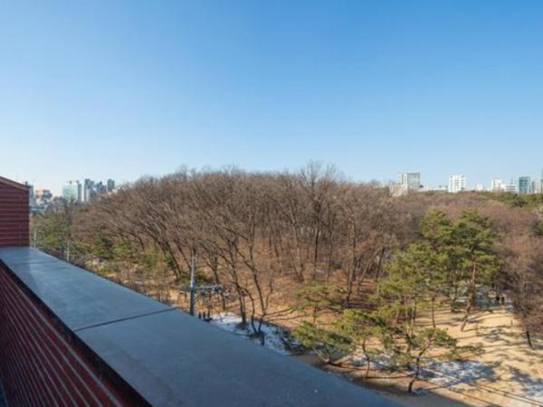 Hotel TARA : photo 6 de la chambre suite avec terrasse