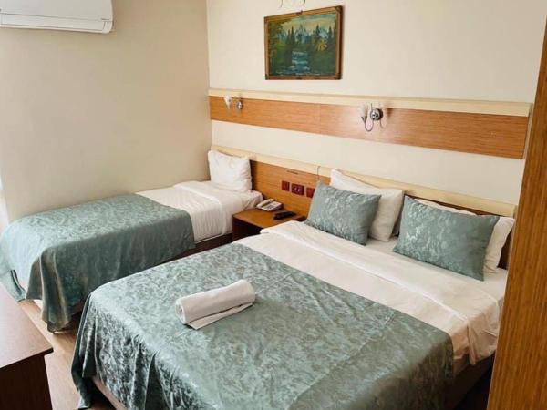 Hotel Oz Villa : photo 3 de la chambre grande chambre simple