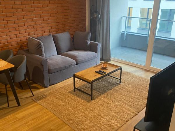 Apartamenty BRUNO i BIANCA w Symphony Modern Tower Gdynia 2 i 3 piętro : photo 10 de la chambre suite