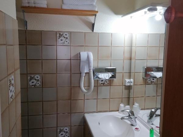 Htel Le Lievre Blanc : photo 1 de la chambre chambre double avec douche