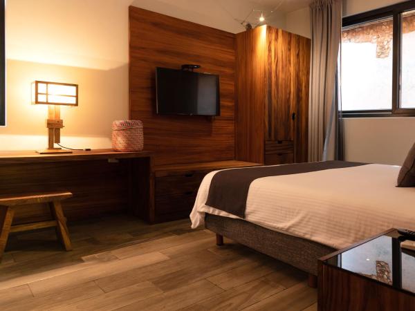 El Callejón Hotel Boutique : photo 10 de la chambre suite avec terrasse