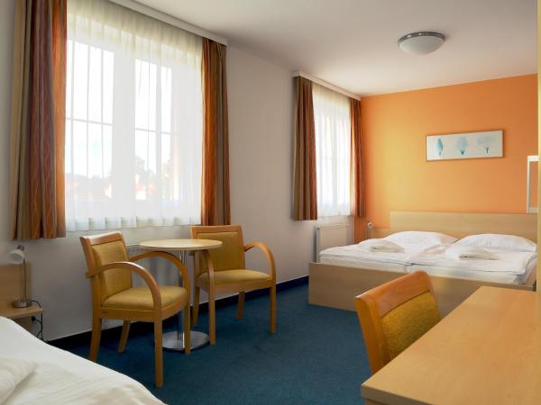Penzion Krumlov - B&B - Massage studio : photo 1 de la chambre chambre triple standard