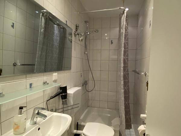 Hotel Bregenz : photo 3 de la chambre chambre triple avec salle de bains privative