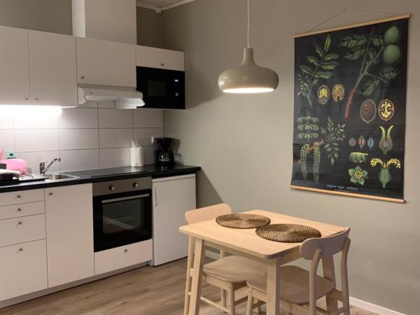 Vallabiten Rum och Lägenheter : photo 8 de la chambre studio (2 adultes)