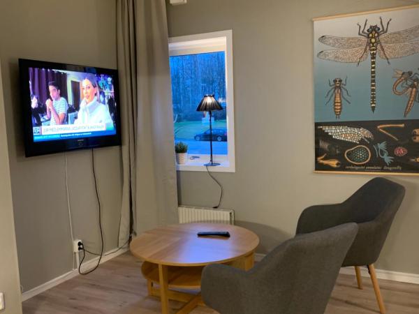 Vallabiten Rum och Lägenheter : photo 10 de la chambre studio (2 adultes)