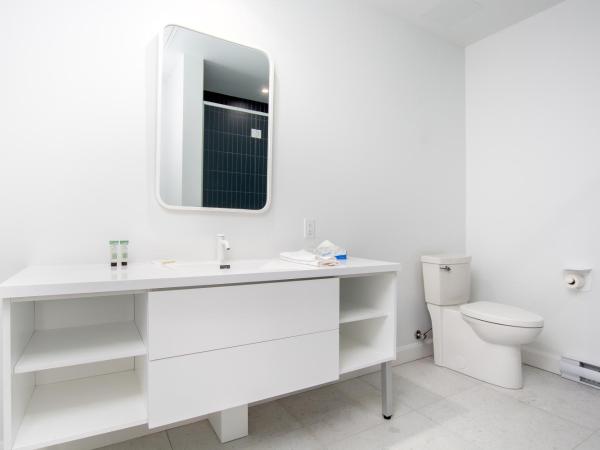 Les Lofts St-François - Par Les Lofts Vieux-Quebec : photo 6 de la chambre penthouse saint-françois avec toit-terrasse privé et spa - sf601