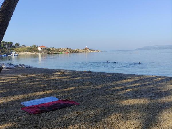 Villa Radić : photo 1 de la chambre appartement avec terrasse