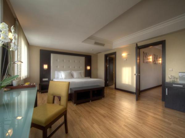 Eresin Hotels Topkapı : photo 1 de la chambre suite familiale