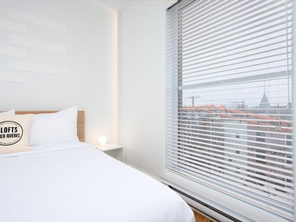 Les Lofts St-François - Par Les Lofts Vieux-Quebec : photo 7 de la chambre appartement 2 chambres et 2 salles de bains - sf401