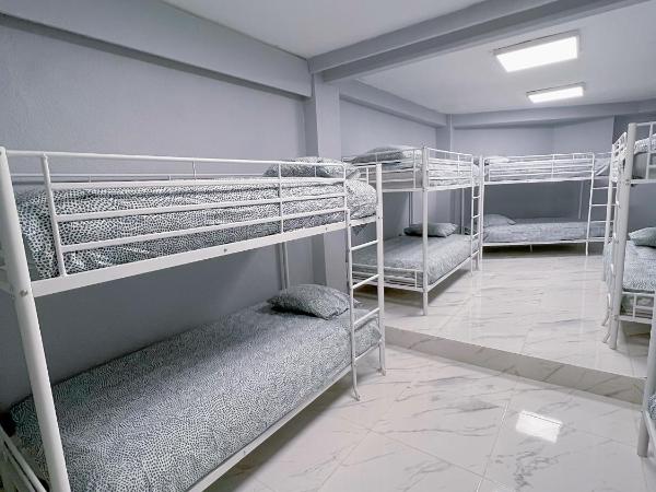 Hostel Thirty One 31 : photo 1 de la chambre lit superposé dans dortoir mixte