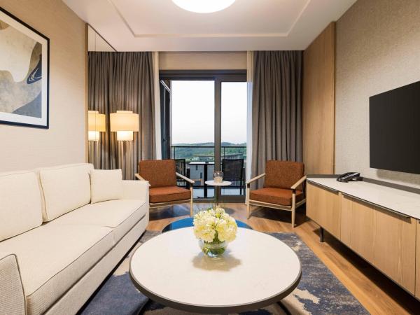 Movenpick Living Istanbul Camlivadi : photo 4 de la chambre appartement 1 chambre supérieur