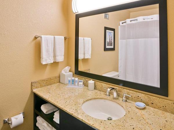 Wyndham Garden Oklahoma City Hotel & Confereance Ctr Near Airport, Fairgrounds Paycom & I40 : photo 7 de la chambre suite 1 chambre lit king-size avec accès aux personnes à mobilité réduite et douche accessible en fauteuil roulant - non-fumeurs