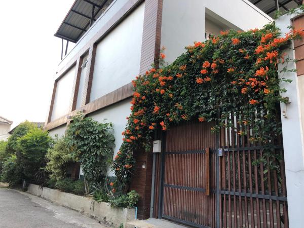 Celosia Chiang Mai Hotel : photo 1 de la chambre chambre double standard - bâtiment b