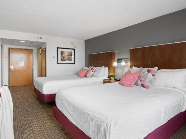 315 LoSo Hotel Airport : photo 1 de la chambre chambre quadruple