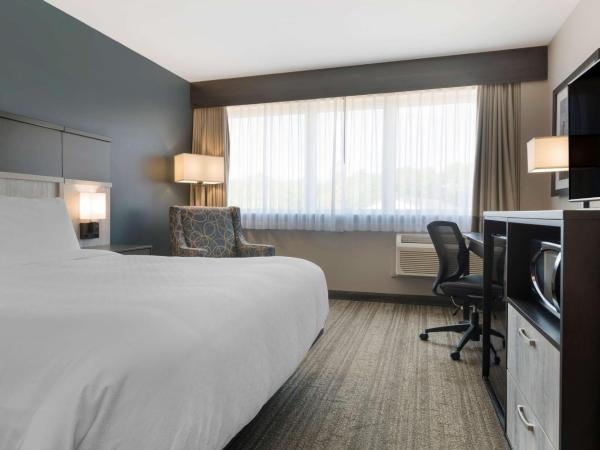 Best Western Plus Chocolate Lake Hotel - Halifax : photo 5 de la chambre chambre lit king-size