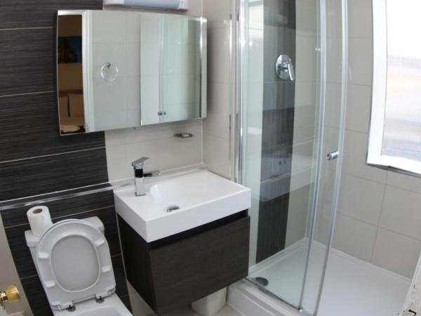 Ascot Hyde Park Hotel : photo 3 de la chambre chambre simple