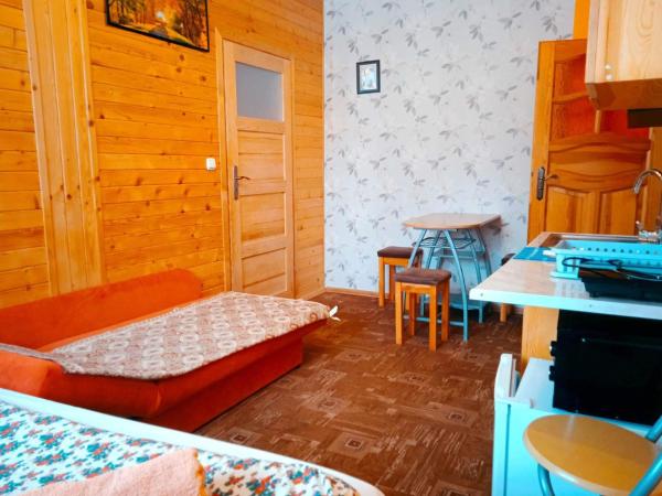 Apartamenty i pokoje gościnne Nowita : photo 5 de la chambre appartement 2 chambres